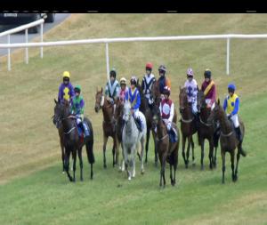 Video preview image for Limerick 15:15 - Follow Limerick Racecourse On Facebook (Q.R.) Handicap Hurdle