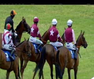 Video preview image for Limerick 15:40 - Party Time Ltd. Marquee Hire Chase