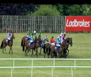 Video preview image for Limerick 16:10 - Cliona Hagan Plays Live On 26th July Beginners Chase