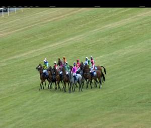 Video preview image for Limerick 16:45 - Galway Plate Trial Handicap Chase
