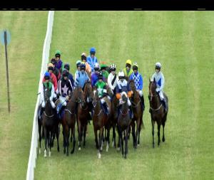 Video preview image for Limerick 17:15 - Irish Stallion Farms European Breeders Fund Mares I.N.H. Flat