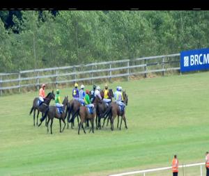Video preview image for Limerick 17:30 - Irish Stallion Farms European Breeders Fund Handicap Chase
