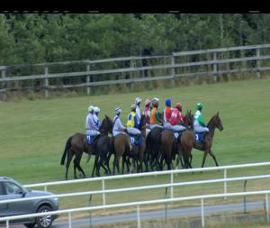 Video preview image for Limerick 18:05 - Irish Stallion Farms European Breeders Fund Fillies I.N.H. Flat