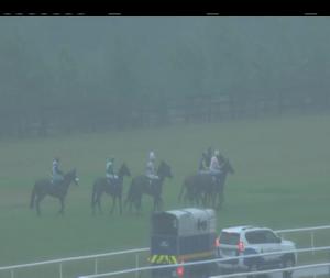 Video preview image for Limerick 18:15 - Follow Limerick Racecourse On Twitter Mares Rated Novice Hurdle