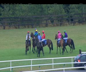Video preview image for Limerick 20:55 - Ladbrokes Munster National 14th October I.N.H. Flat
