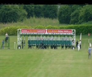 Video preview image for Naas 14:15 - Thanks Sally Carroll Irish European Breeders Fund Maiden 