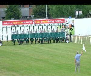 Video preview image for Naas 15:25 - Foran Equine Irish European Breeders Fund Auction Maiden