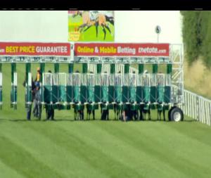 Video preview image for Naas 17:40 - Bunoscionn Perform At Naas Handicap