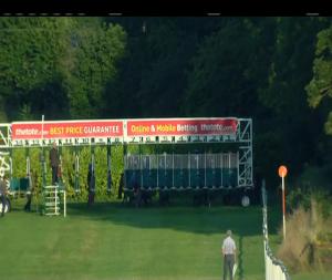 Video preview image for Naas 20:20 - Bmw 182 Always In Reach Conlans Naas & Limerick Handicap