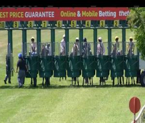 Video preview image for Navan 14:00 - Irish Stallion Farms European Breeders Fund Maiden
