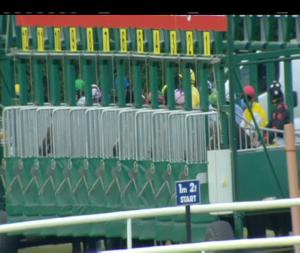 Video preview image for Navan 17:15 - Come Racing September 8th Handicap