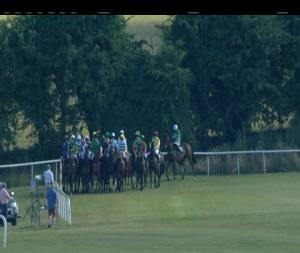 Video preview image for Roscommon 17:50 - Adare Manor Opportunity Maiden Hurdle