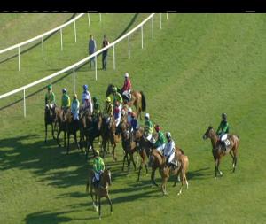 Video preview image for Roscommon 18:50 - Leo Dolan Memorial Handicap Hurdle