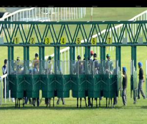 Video preview image for Roscommon 19:20 - Irish Stallion Farms European Breeders Fund Fillies Maiden