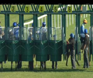 Video preview image for Roscommon 19:50 - Roscommon Herald Handicap
