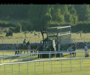 Video preview image for Roscommon 20:20 - Lenebane Stakes (Listed)