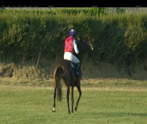 Video preview image for Roscommon 20:20 - European Breeders Fund Mares (Ladies Pro/Am) I.N.H. Flat