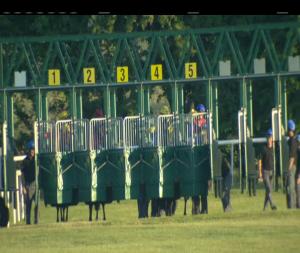 Video preview image for Roscommon 20:50 - Budweiser Maiden