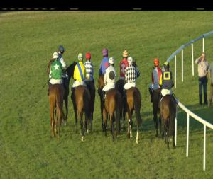 Video preview image for Roscommon 20:50 - Four Roads (C & G) I.N.H. Flat