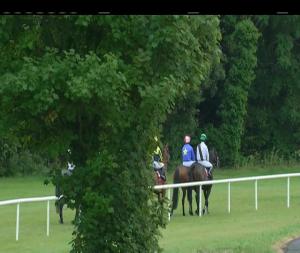 Video preview image for Sligo 17:20 - Blind Tiger I.N.H. Flat 