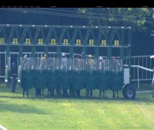 Video preview image for Tipperary 18:50 - Coolmore Pride Of Dubai Tipperary Stakes (Listed)