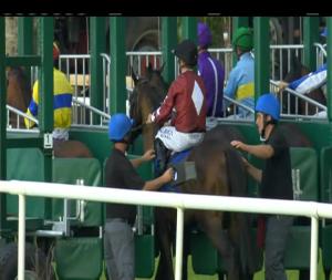 Video preview image for Tipperary 19:25 - Costello`s Tavern Handicap