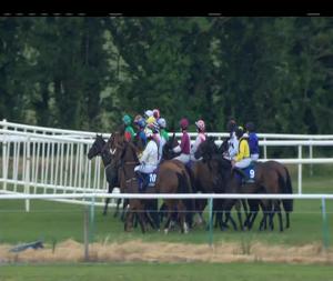 Video preview image for Tipperary 20:30 - Follow @tipperaryraces.ie Handicap Hurdle