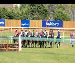 Video preview image for Wexford 17:20 - info@wexfordraces.ie Mares Maiden Hurdle