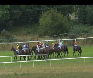 Video preview image for Wexford 17:40 - Liam Leacy Plumbing & Heating Ltd. Maiden Hurdle