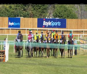 Video preview image for Wexford 17:50 - Flood Ironworks Ltd. Maiden Hurdle