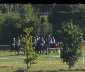 Video preview image for Wexford 18:25 - Mary Barry's Seafood Bar Handicap Hurdle