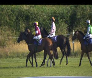 Video preview image for Wexford 19:00 - Brendan Cullimore Electrical Novice Chase