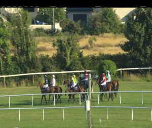 Video preview image for Wexford 19:35 - Flood Ironworks Ltd. Beginners Chase