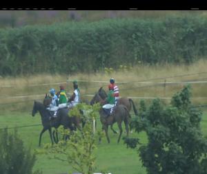 Video preview image for Wexford 19:45 - Adare Manor Opportunity Handicap Chase