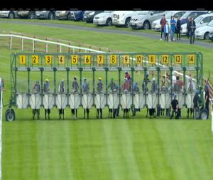 Video preview image for Ballinrobe 18:05 - Win Big With Tote Maiden