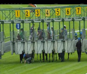 Video preview image for Ballinrobe 19:05 - Win Big With Tote Handicap