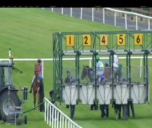 Video preview image for Ballinrobe 20:05 - Tote Handicap