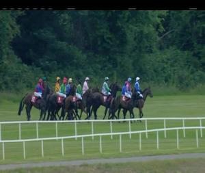 Video preview image for Cork 20:50 - Cork Racecourse August Summer Festival Flat Race