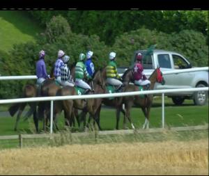 Video preview image for Downpatrick 15:40 - Probably The Best Family Fun Day Ever (C & G) Maiden Hurdle