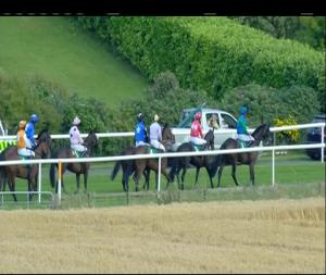Video preview image for Downpatrick 16:10 - Tullyraine Veterinary Clinic Mares Maiden Hurdle