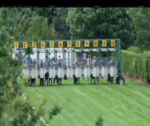 Video preview image for Down Royal 18:25 - Apple Orchard Handicap 