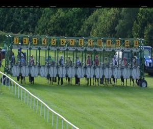 Video preview image for Down Royal 19:25 - Magners Light Handicap 