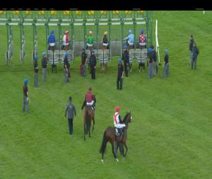 Video preview image for Down Royal 19:55 - Her Majesty's Plate (Listed)