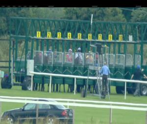 Video preview image for Fairyhouse 13:55 - Irish Stallion Farms European Breeders Fund Fillies Maiden