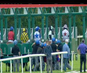 Video preview image for Gowran Park 13:40 - Foran Equine Irish Farms European Breeders Fund Auction Fillies Maiden 