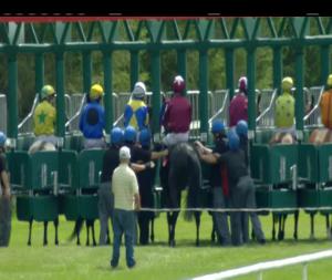 Video preview image for Gowran Park 14:15 - Racing Again August 16th Handicap (Div 1)