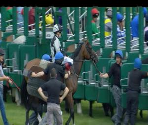 Video preview image for Gowran Park 16:35 - Irish Stallion Farms European Breeders Fund Fillies Maiden 