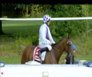 Video preview image for Gowran Park 17:10 - Like Gowran Park On Facebook Handicap 