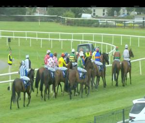 Video preview image for Killarney 14:05 - Europe Hotel & Resort Handicap Hurdle