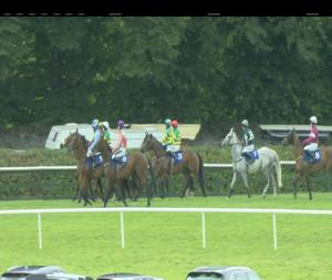 Video preview image for Killarney 15:40 - Dawn Hi + Lo Milk Beginners Chase